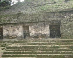 Tikal 10