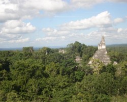 Tikal 11