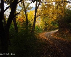 Caminos de otoño