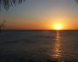 Atardecer Flamingo