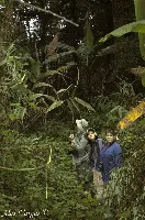 En la Pajareada