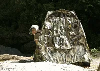 Escondidos