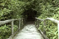 Sendero Inthanon