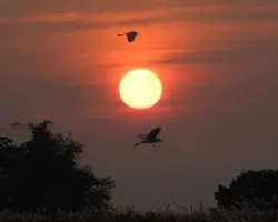 Atardecer en el Gran Lago