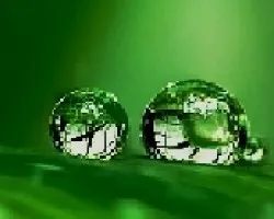 Goticas saturadas