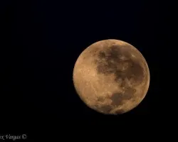 Luna Temprana