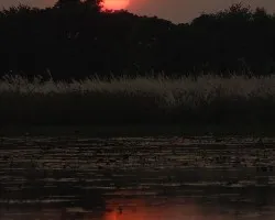 BB Sunset
