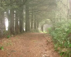 Sendero en las Alturas