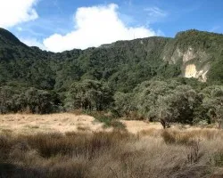 Sabana cobijada por Gigantes