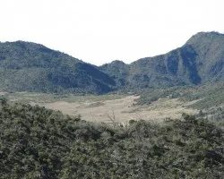 Sabana de los Leones