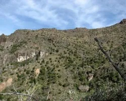 Desde la Cuesta de los Arrepentidos
