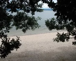Mirando al Golfo