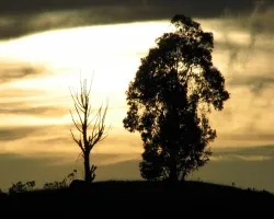 Camposanto al Atardecer
