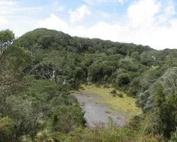 Cerro Retes