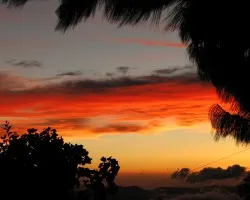 Atardecer Encendido