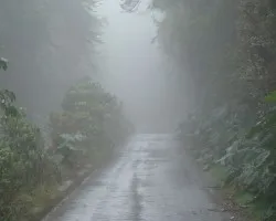 Entreda