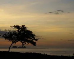 atardecer