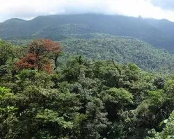 volcan Tenorio