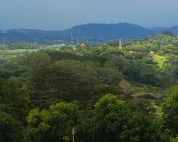 verdes azules
