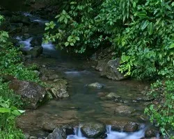 riachuelo