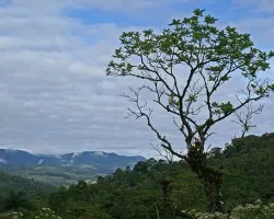 Valle Escondido