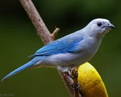 290.... : )