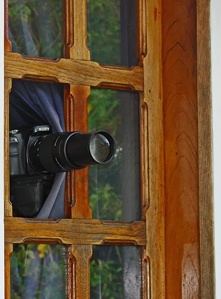 Foto