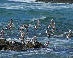 a volar....
