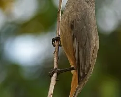 vertical....