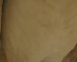 ??
