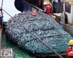 La pesca de tres horas