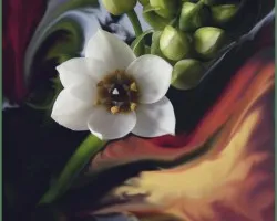 Flor tratada con Photoshop