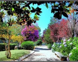 Parque de Castrelos