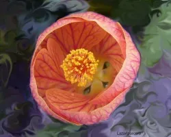 Flotando en Photosop