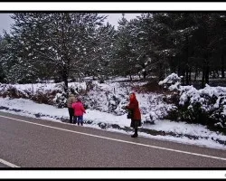 En la nieve