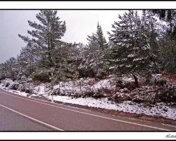 En la nieve
