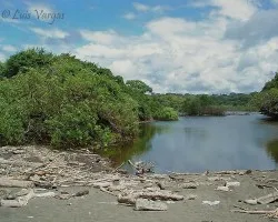 Playa y Manglar
