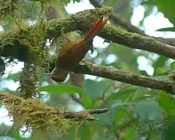 Tengo un reto con esta monta?a