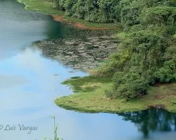 Laguna de Hule