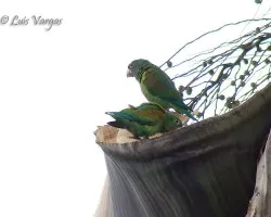 Buscando casa