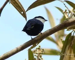 Una nueva para mi