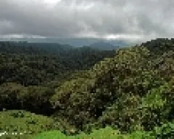 Monserrat, Coronado