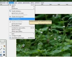 Como redimensionar con GIMP