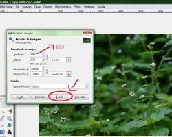 Como redimensionar con GIMP