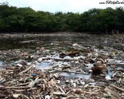 Sumergido en basura
