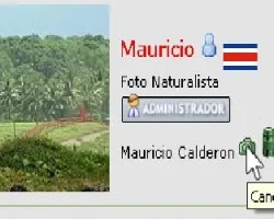 Nuevos datos en el perfil de usuario