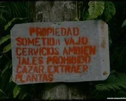 Orrores