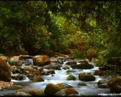 Rio Savegre