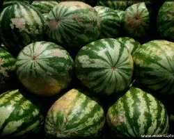 Sandia