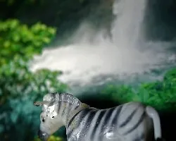 Cebra